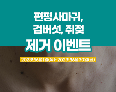 뉴스룸