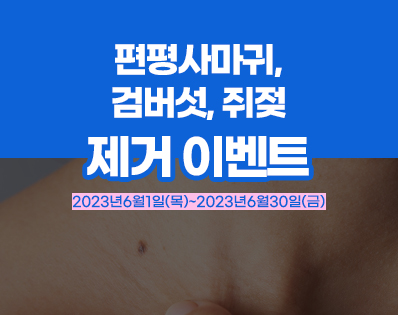 뉴스룸