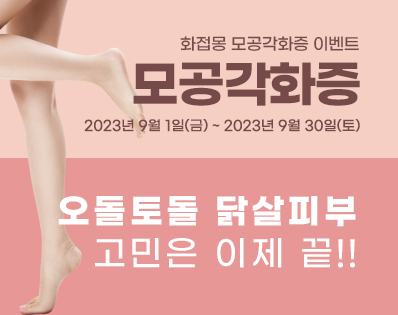 뉴스룸