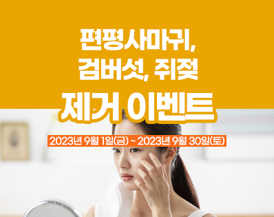 뉴스룸
