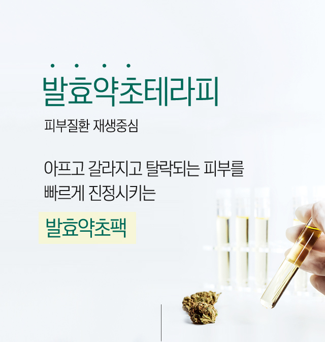 발효약초테라피