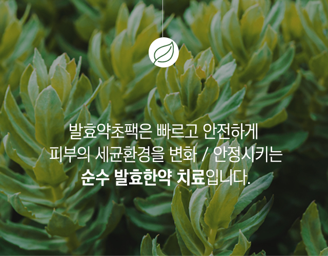 발효약초테라피